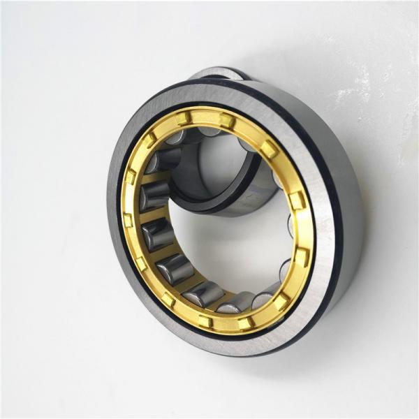 Cylindrical Roller Bearing 215 216 217 218 219 220 N /NU/ NUP/NJ/NF/EM/ECP/C3 SKF Bearing #1 image