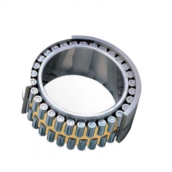 Copper Cage Bearing Product Cylindrical Roller Bearing with Brass Cage #1 image